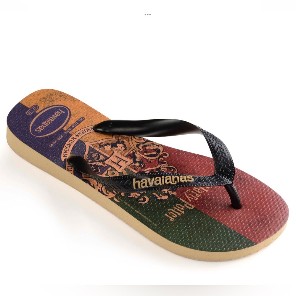 Havaianas Men's Multicolor Flip Flops